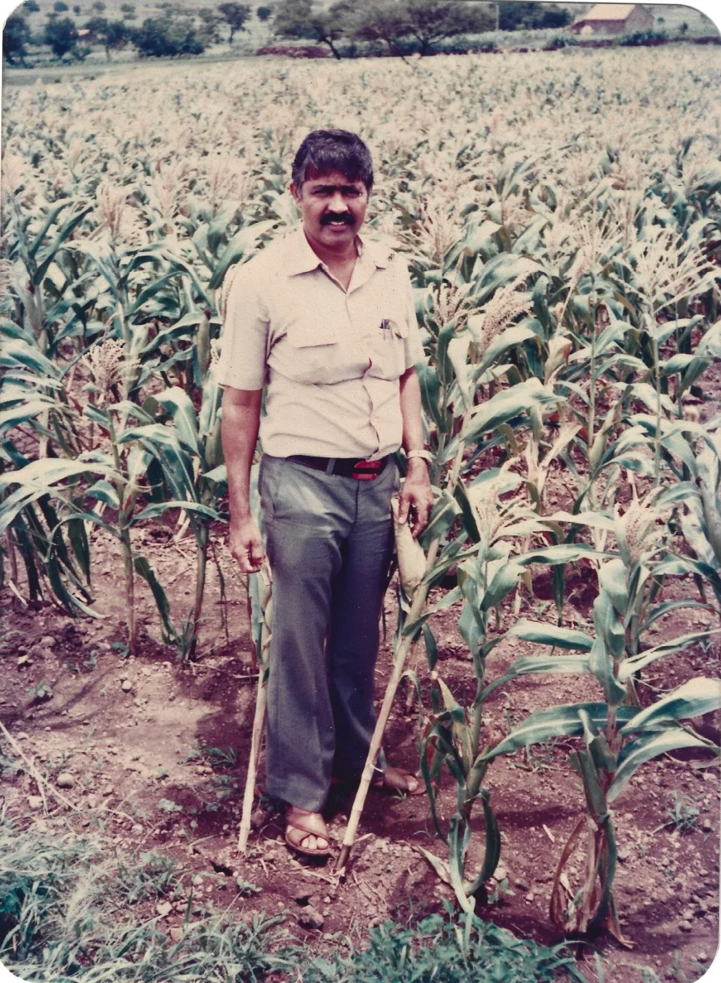 The founder standing in his fields